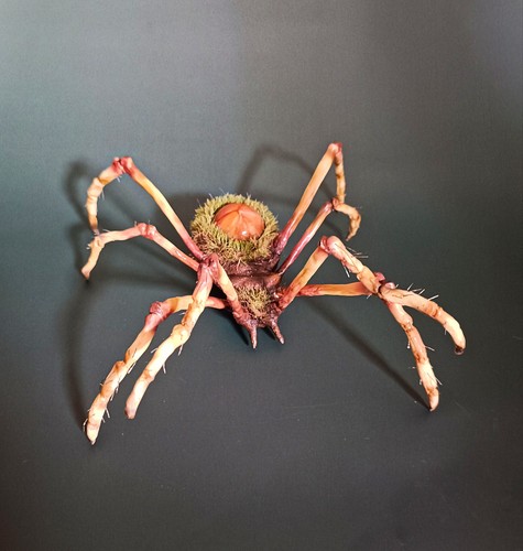 Xxl spinne skulptur - xxl,