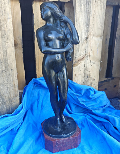 Wilhelm hüsgen bronze - hüsgen,