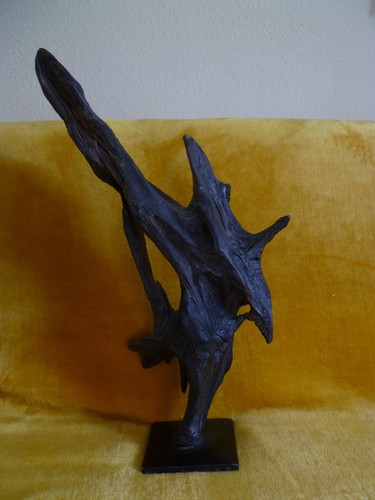 Mooreiche fossil eiche - mooreiche,